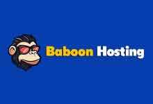 BaboonHosting:$15/年1核1G内存4T月流量5G带宽/荷兰阿姆斯特丹-小白VPS