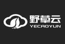 野草云不限流量香港独服199元/月16G内存/E3-1230v2/240G SSD硬盘-小白VPS